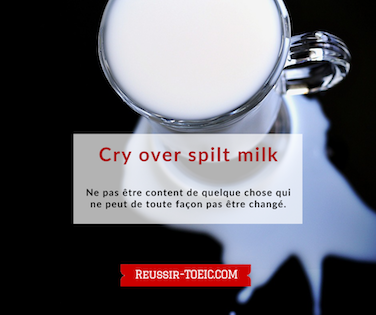  Cry over spilt milk 